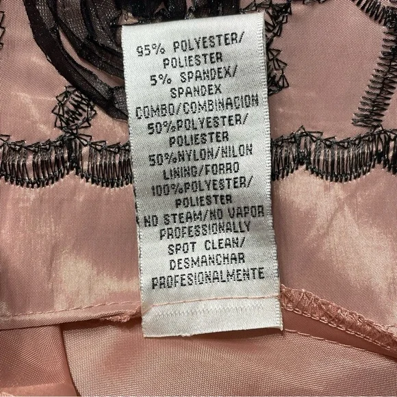 J.R.Nites by Carolin black-top dress with a pink A-line skirt. Size 16. Roses - Picture 11 of 16